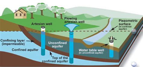 Artesian wells - Springs and artesian wells. Springs are often confused with flowing artesian wells. An artesian well is a hole or boring that has been drilled into a water-bearing formation or "aquifer" that is under pressure. …